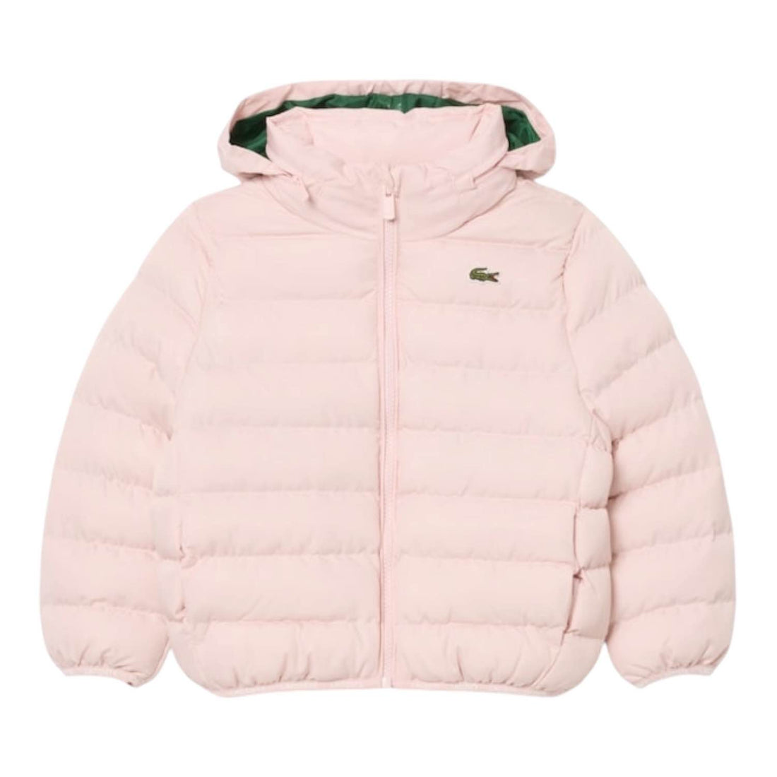 Piumino Lacoste