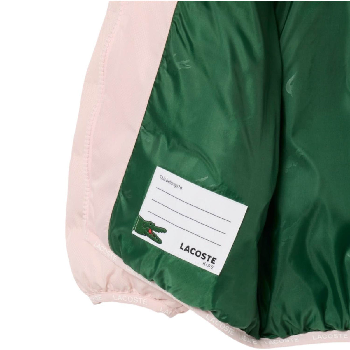 Piumino Lacoste