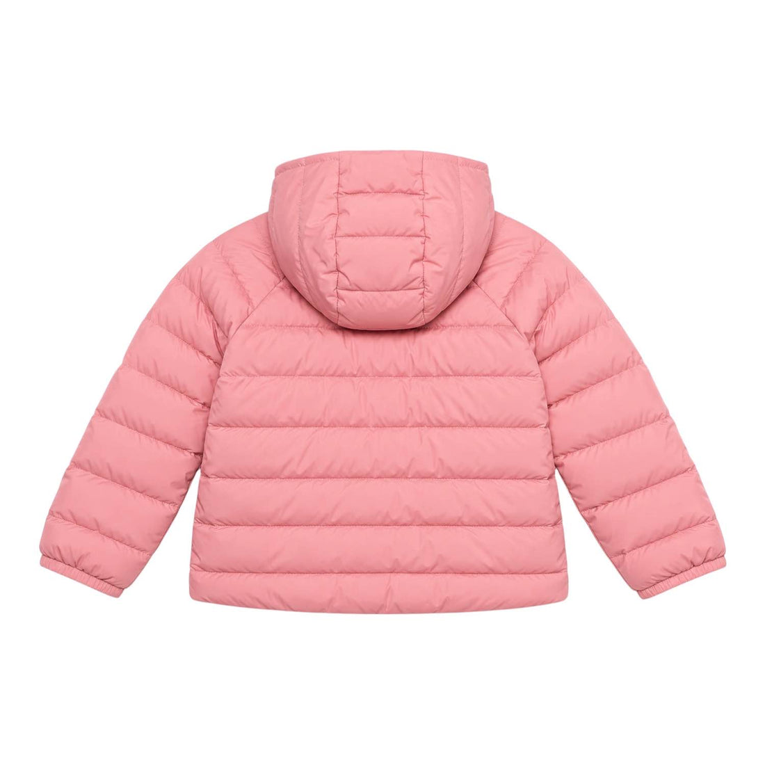 Perrito The north face