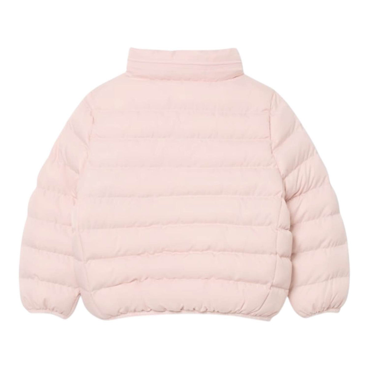 Piumino Lacoste