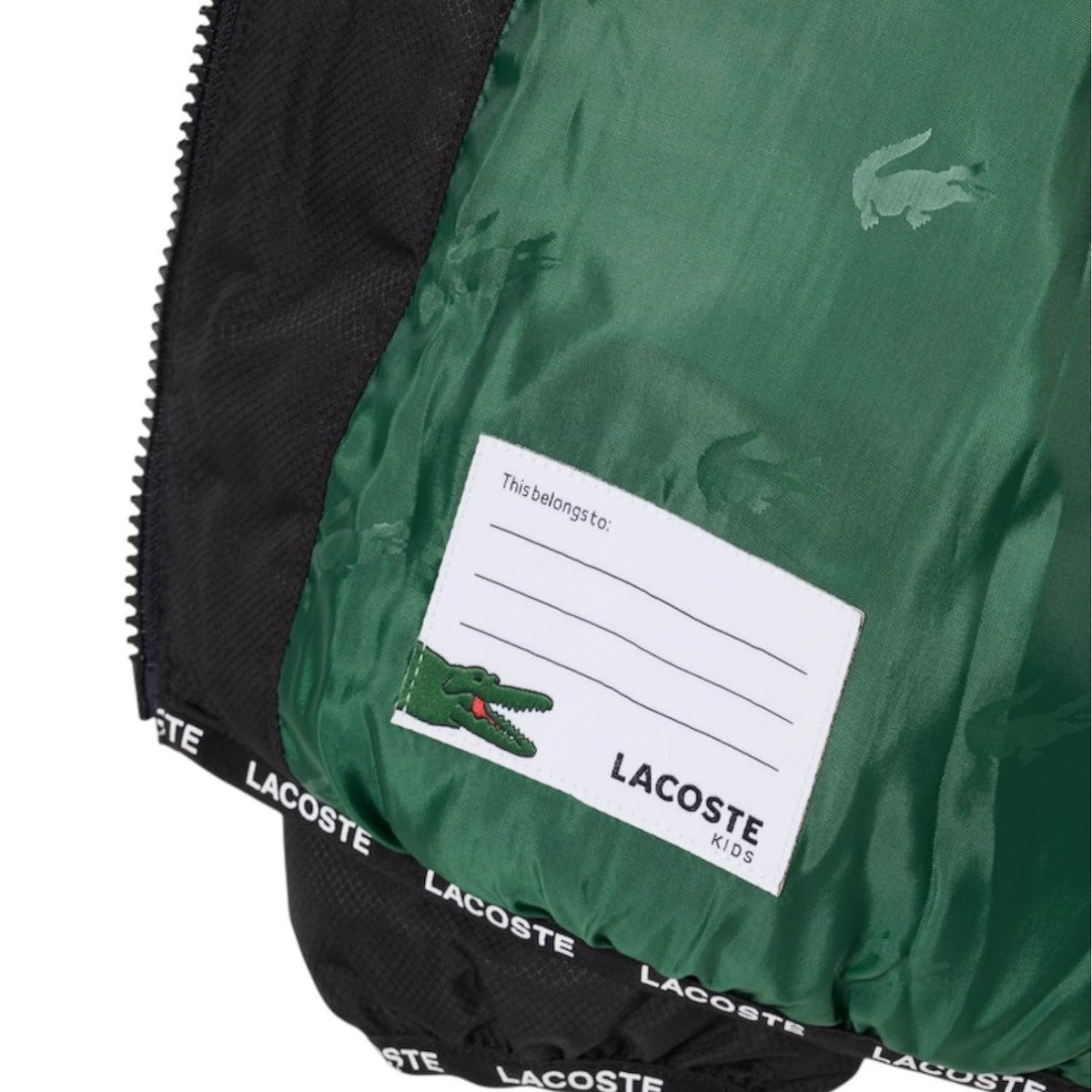 Piumino Lacoste