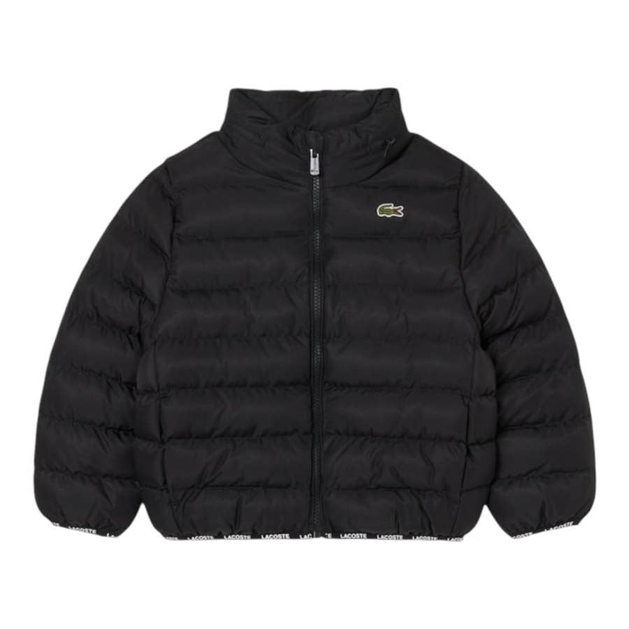 Piumino Lacoste