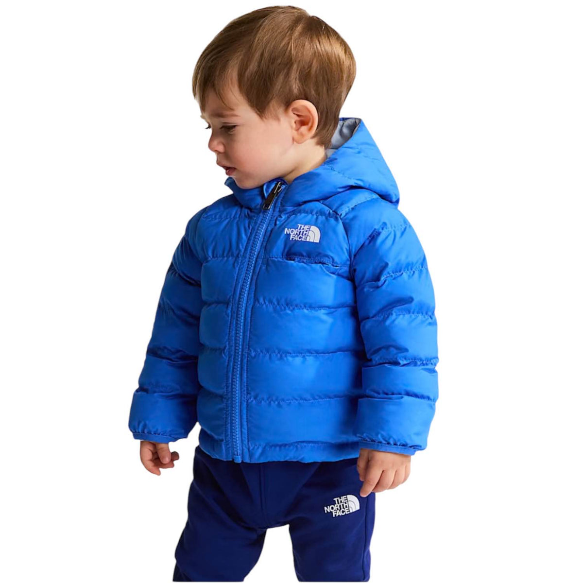 Perrito The north face