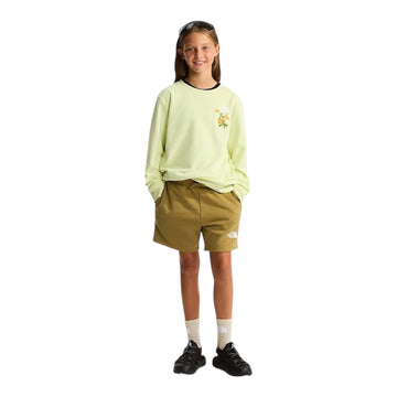 NF0A8G1PG6O1 - Felpa the north face - The north face