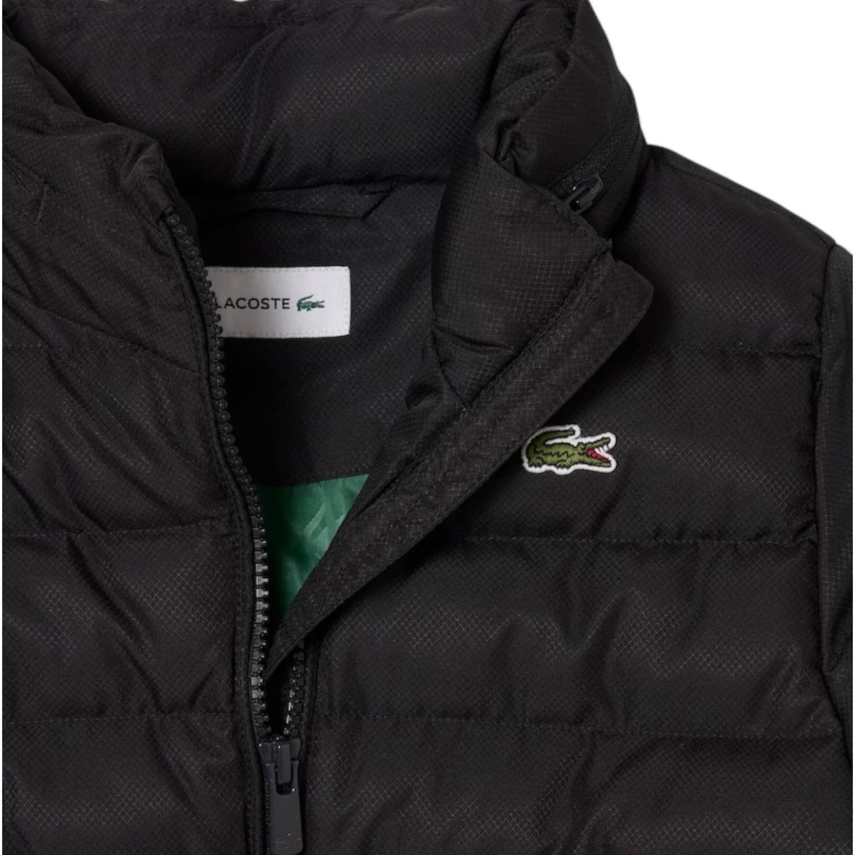 Piumino Lacoste