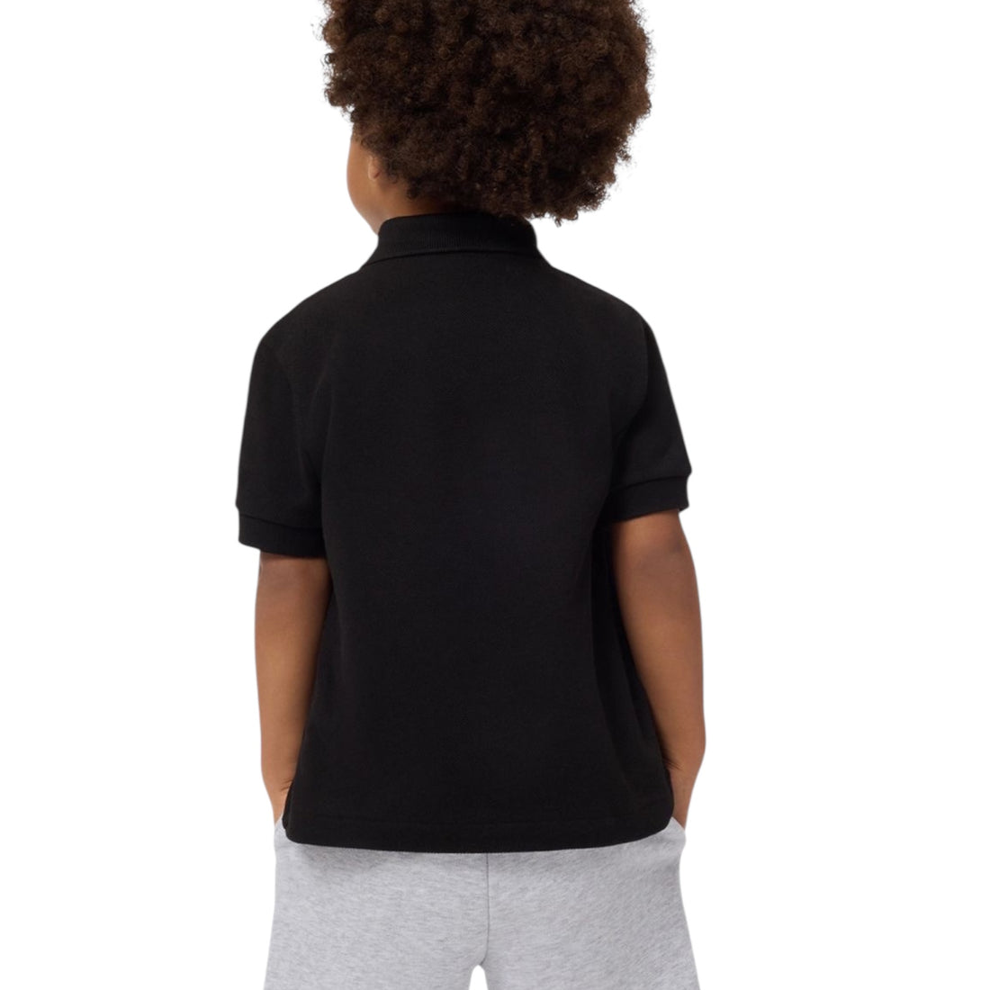 947354K96 - Polo piquet lacoste - Lacoste