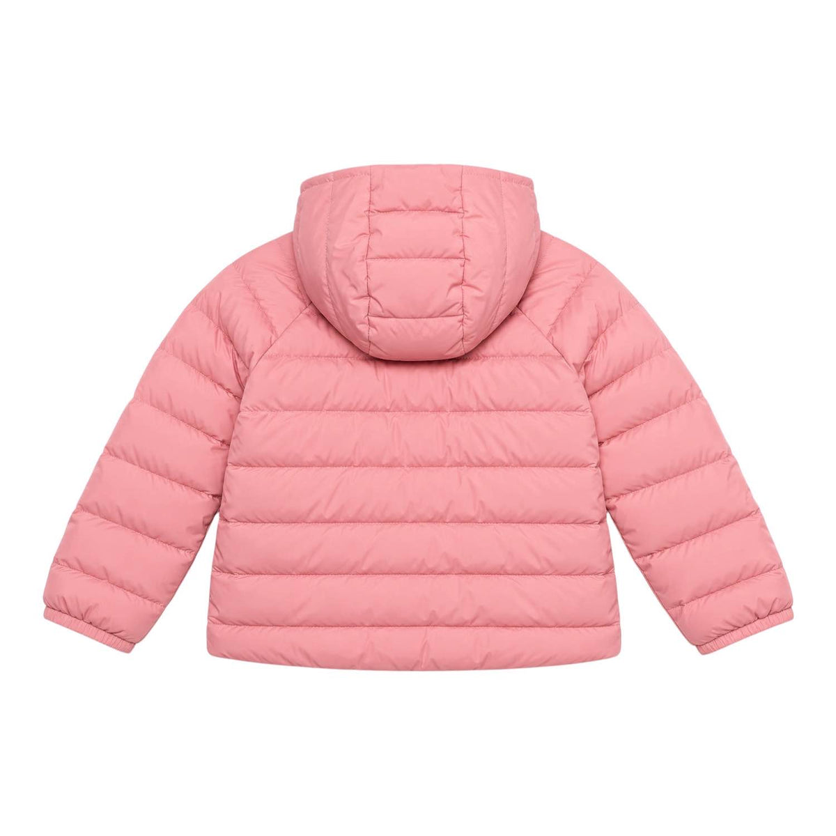 Piumino Perrito  north face