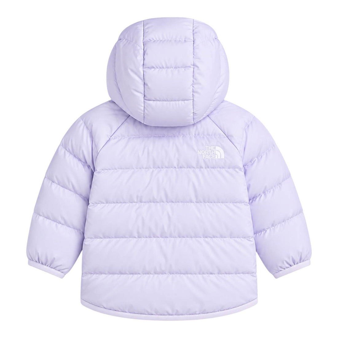 Perrito  The north face