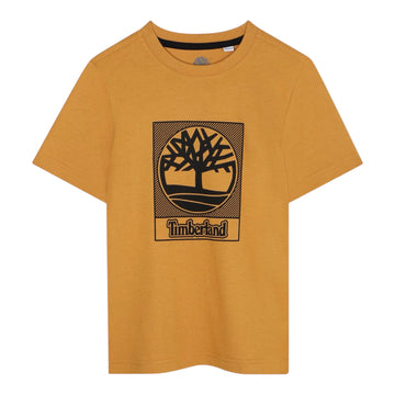 T60381 - T-shirt - timberland